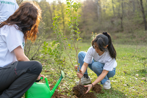 A young girl planting a tree with her mother