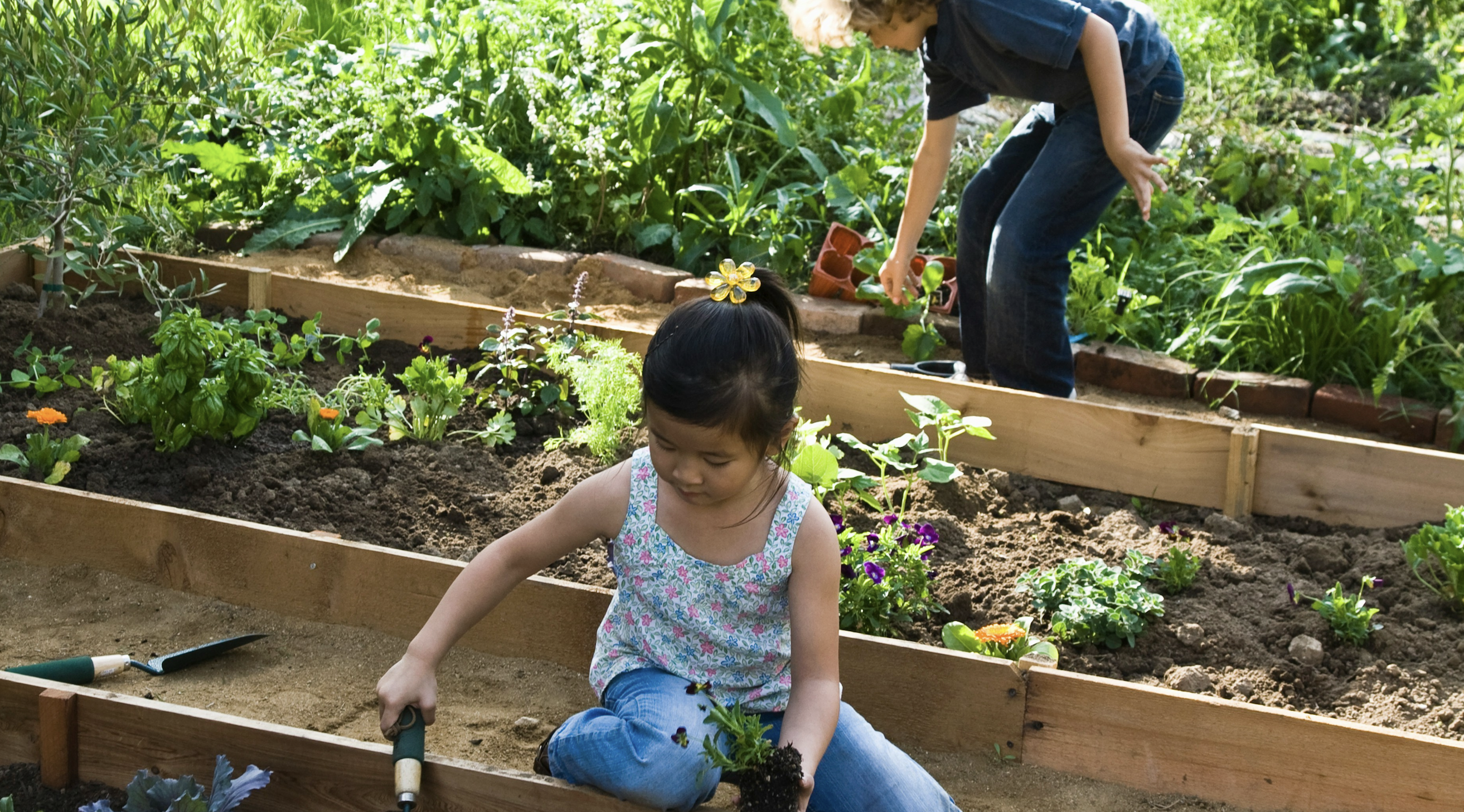 The Soft-Landing Problem: Raising Children Who Can Fail (and then Succeed)