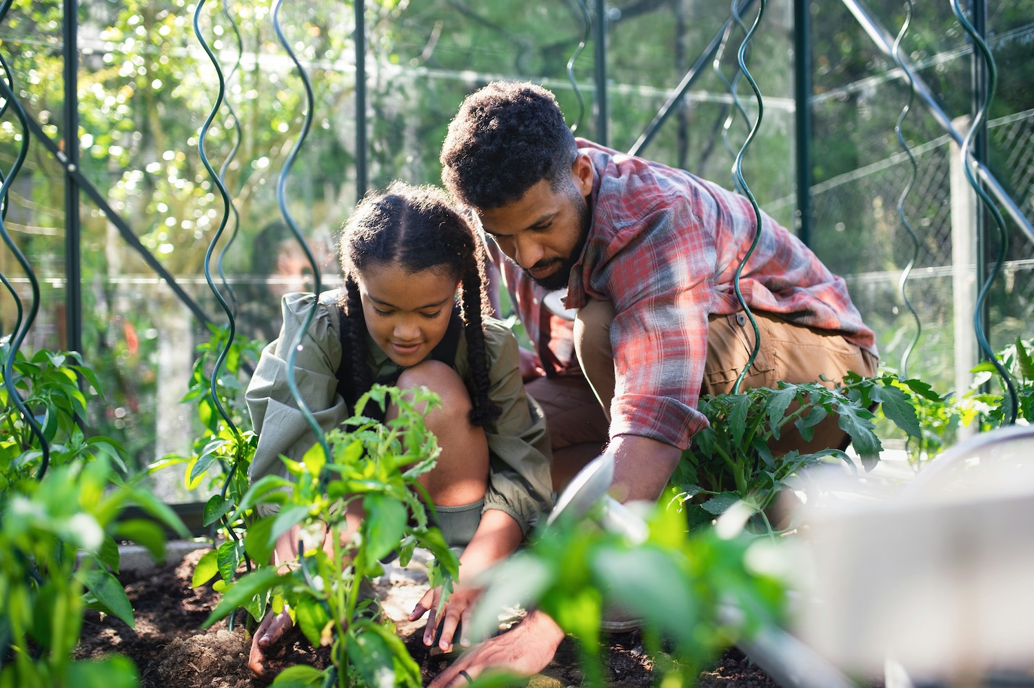 The Third Education Challenge: Raising Heirs Who Can Steward Wealth