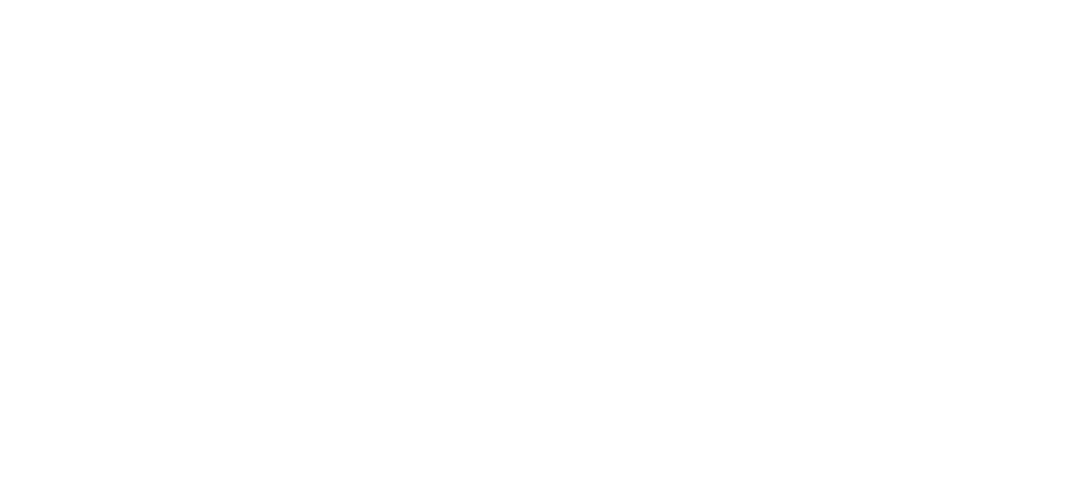 Shaare Zedek Logo